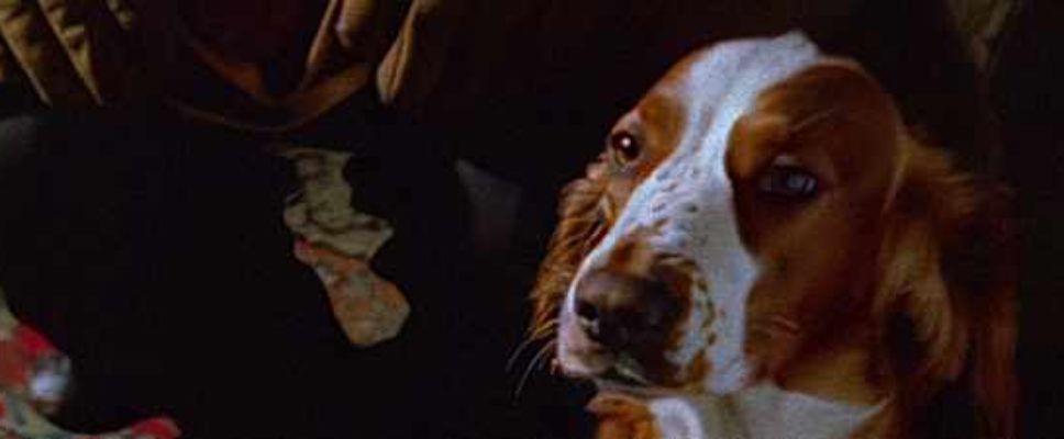banner reviews mystery of the hunters lodge 1991 doggie